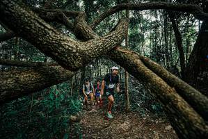 BIB: 
                            <button type="button" onclick="openModal(25665046)" class="btn btn-primary btn-sm float-right btn-popup" data-toggle="modal" data-target=".modal-high-quality">
                        <i class="fas fa-shopping-cart"></i> Add to Cart
                    </button>
                                            <button type="button" onclick="isThisMe(25665046, true)" class="btn btn-success btn-sm float-right btn-popup btn-isme hidden" data-toggle="tooltip" data-placement="bottom" title="นี่คือรูปของคุณใช่ไหม คลิกที่นี่เพื่อเอาเข้าอัลบั้ม">
                        <i class="fas fa-plus"></i> Add to album
                    </button>
                    <button type="button" onclick="isThisMe(25665046, false)" class="btn btn-warning btn-sm float-right btn-popup btn-isnotme hidden">
                        <i class="fas fa-ban"></i> Remove from album
                    </button>